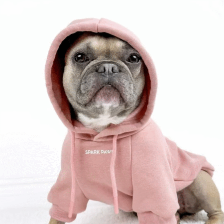 Köpek sweatshirt
